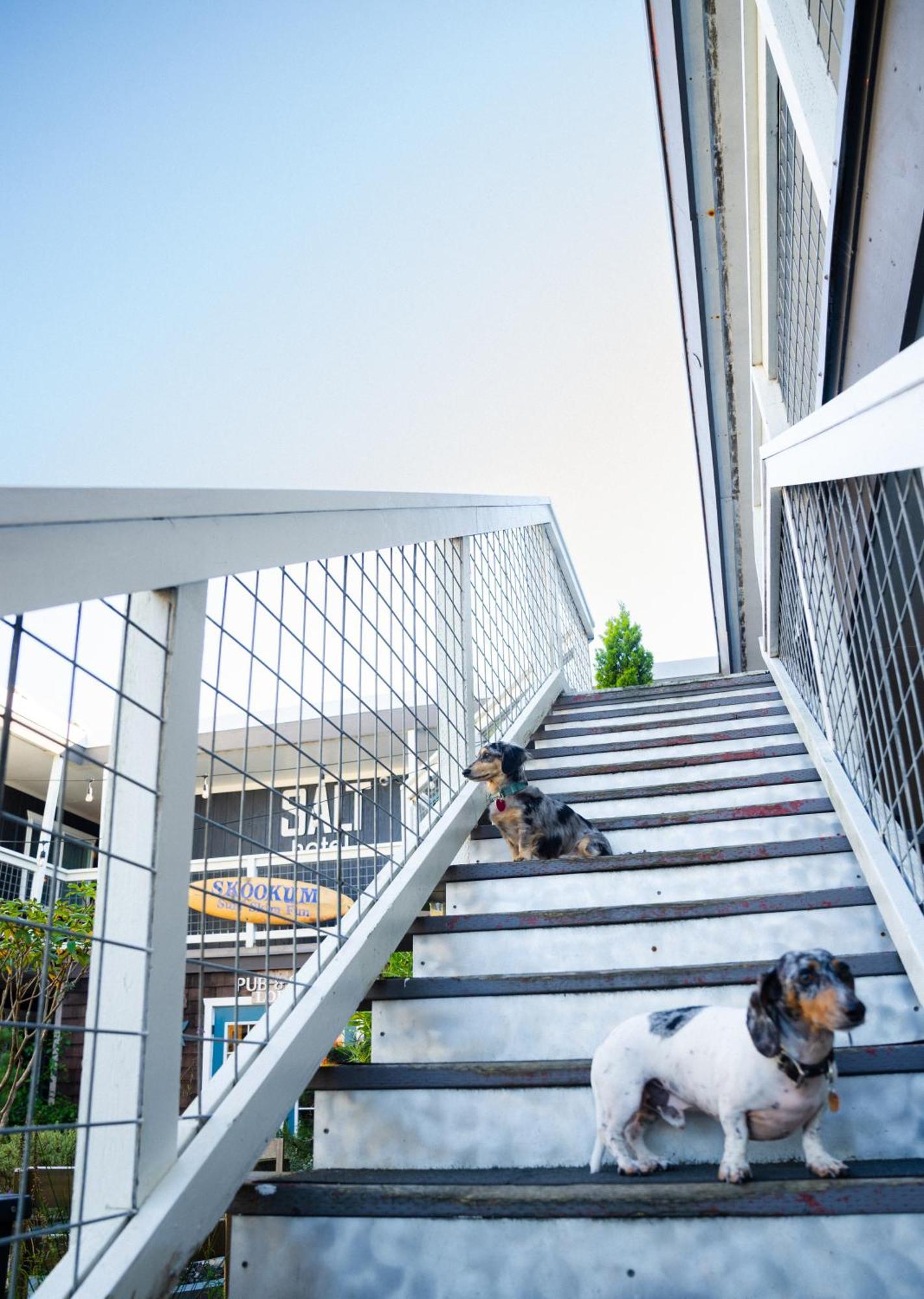 Salt Hotel & Pub Ilwaco 외부 사진