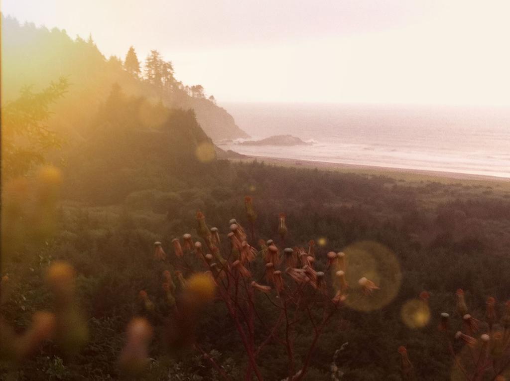 Salt Hotel Ilwaco 외부 사진